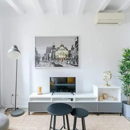 Exquisite&historic Flat With Rooftop * Barcelona