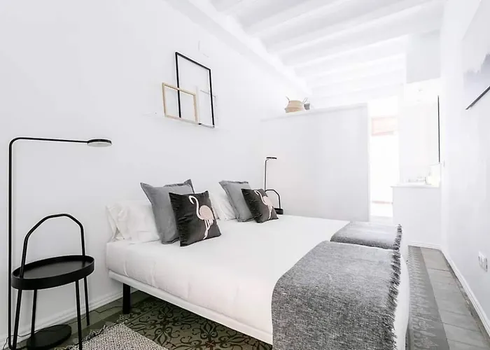 Apartment Exquisite&historic Flat With Rooftop Barcelona