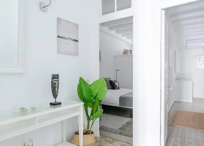 Exquisite&historic Flat With Rooftop Apartment Barcelona