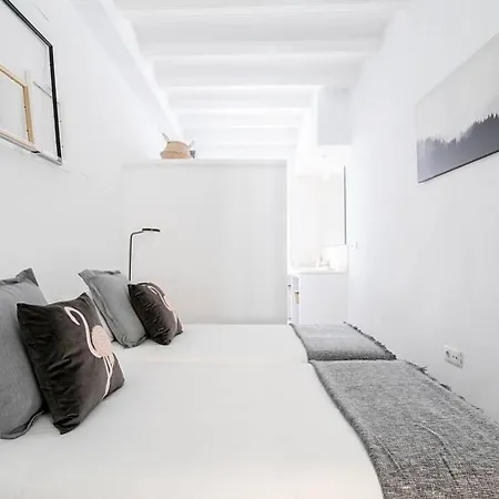 Exquisite&historic Flat With Rooftop * Barcelona