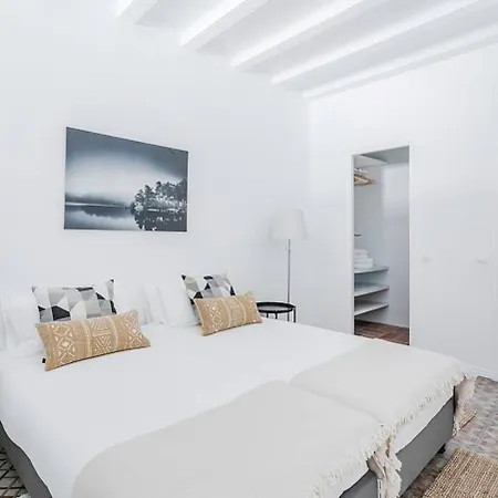 Exquisite&historic Flat With Rooftop Barcelona
