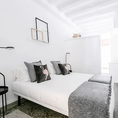Exquisite&historic Flat With Rooftop Barcelona