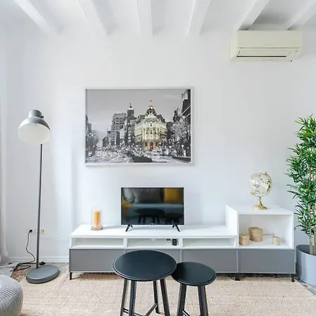 Exquisite&historic Flat With Rooftop