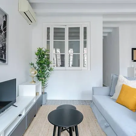 Exquisite&historic Flat With Rooftop * Barcelona