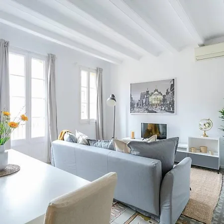Exquisite&historic Flat With Rooftop Apartment