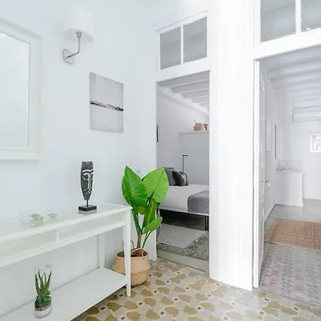 Exquisite&historic Flat With Rooftop * Barcelona
