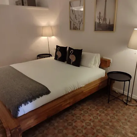 Exquisite&historic Flat With Rooftop Barcelona