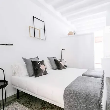 Appartement Exquisite&historic Flat With Rooftop Barcelona