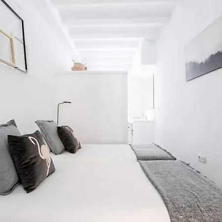 Appartement Exquisite&historic Flat With Rooftop Barcelona