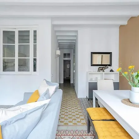 Exquisite&historic Flat With Rooftop * Barcelona