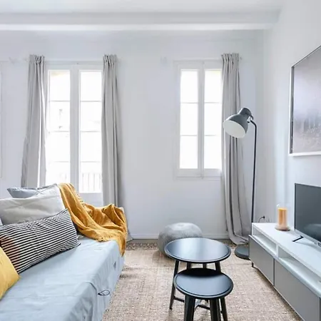 Exquisite&historic Flat With Rooftop Appartement