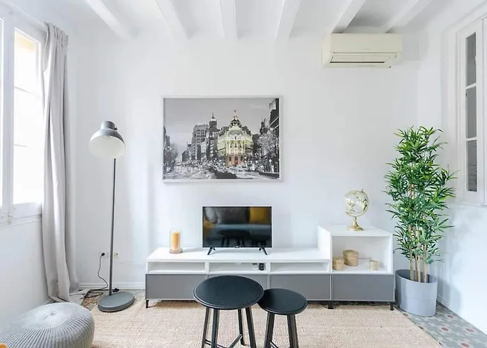 Exquisite&historic Flat With Rooftop * Barcelona
