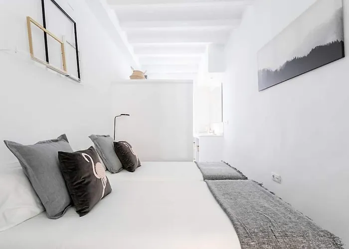 Apartament Exquisite&historic Flat With Rooftop Barcelona